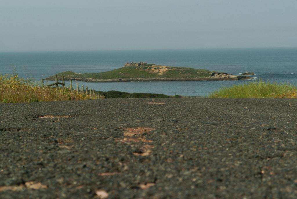 Parque De Campismo Da Ilha Do Pessegueiro Hotell Porto Covo Rum bild
